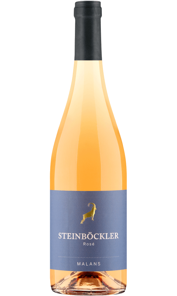 Image of Steinböckler Rosé Graubünden AOC 2021