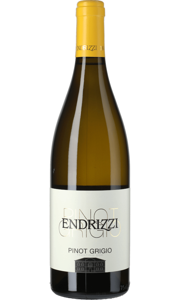 Image of Endrizzi Pinot Grigio Trentino DOC 2021