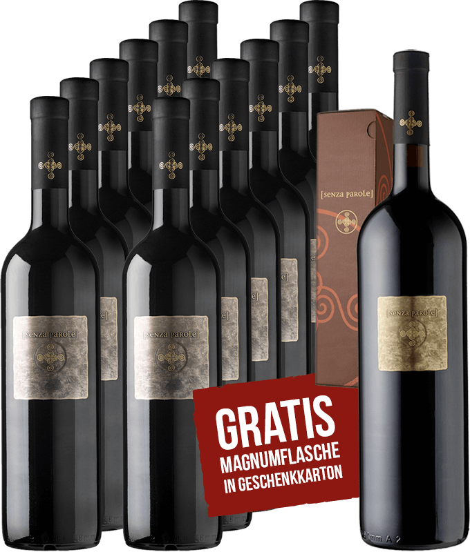 Image of Senza Parole Primitivo - Das Weinpaket