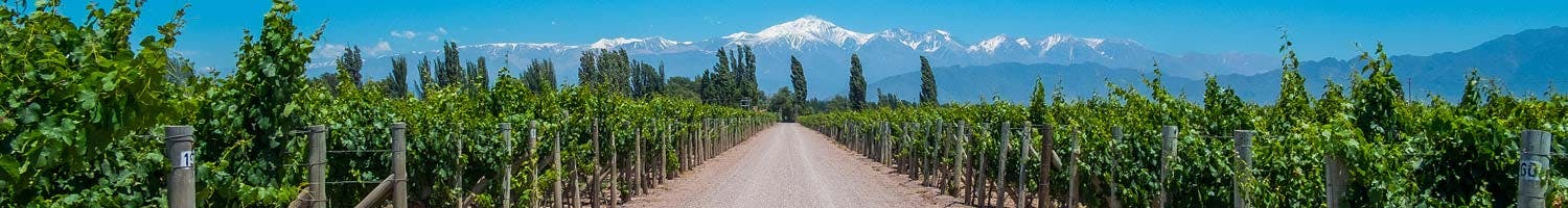 Argentine white wines